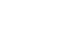 "Black and white minimalist text design spelling 'Arctic Fox'"